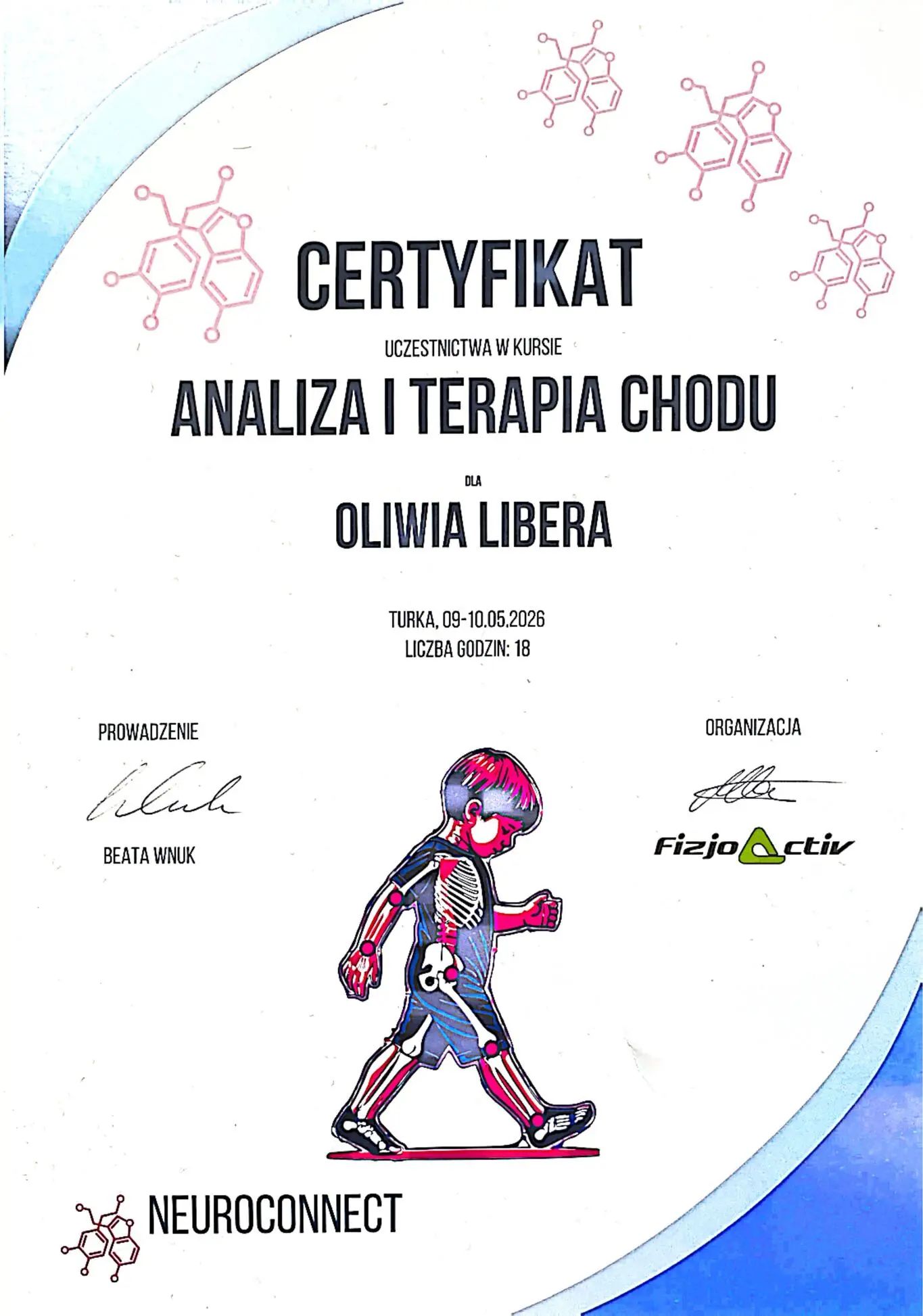 Analiza i terapia chodu